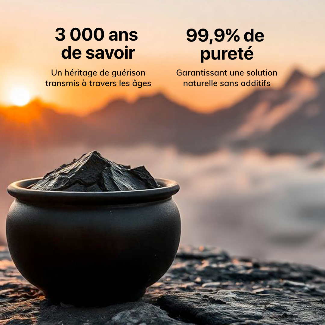 Shali® Shilajit Himalayen Pur Prémium